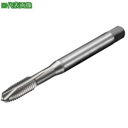 ■SANDVIK コロタップ200 ポイントタップ(781) B150〔品番:T200XM100DK12〕【3132786:0】[送料別途見積り][掲外取寄][店頭受取不可]
