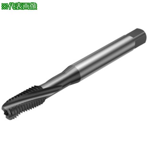 ■SANDVIK コロタップ300 スパイラルタップ(781) B150〔品番:T300XM101DAM24〕【3132808:0】[送料別途見積り][掲外取寄][店頭受取不可]