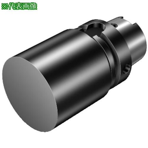 ■SANDVIK HSKカップリング付きブランク(540)〔品番:392.41050100104250A〕【3135701:0】[送料別途見積り][掲外取寄][店頭受取不可] 46,200円