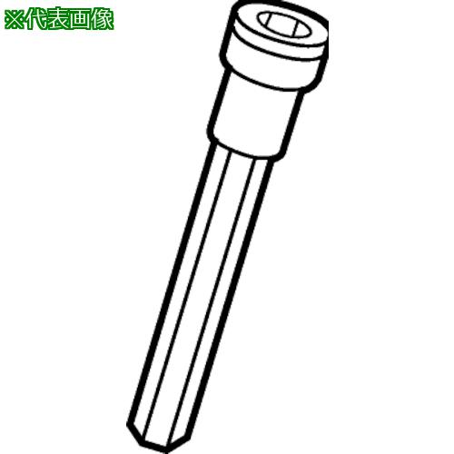■SANDVIK ビット(トルクスプラス)(810)〔品番:568001507〕【3137278:0】[送料別途見積り][法人・事業所限定][掲外取寄][店頭受取不可]