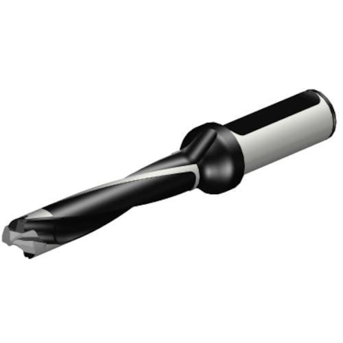 ■SANDVIK コロドリル870 ヘッド交換式ドリル(446)〔品番:870150015LX0755〕【3140425:0】[送料別途見積り][掲外取寄][店頭受取不可]｜ホームセンターバロー　店