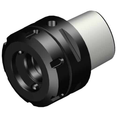 ■SANDVIK コロマントキャプト MDIアダプタ(530)〔品番:C6DM25N030〕【3142105:0】[送料別途見積り][掲外取寄][店頭受取不可] 46,134円