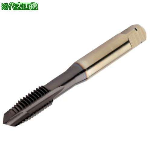 ■SANDVIK コロタップ200 ポイントタップ(780)〔品番:E049M10〕【3142272:0】[送料別途見積り][掲外取寄][店頭受取不可]