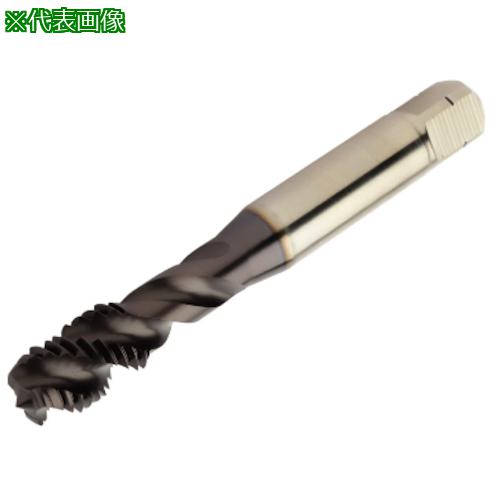 ■SANDVIK コロタップ300 スパイラルタップM5×0.8(780)〔品番:E050M5〕【3145365:0】[送料別途見積り][掲外取寄][店頭受取不可]