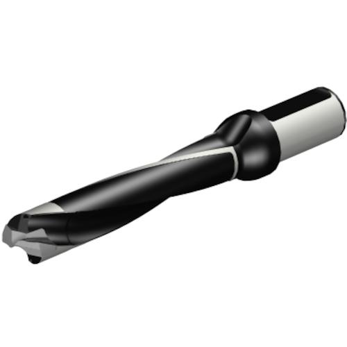 ■SANDVIK コロドリル870 ヘッド交換式ドリル(446)〔品番:870300030LX1255〕【3146767:0】[送料別途見積り][掲外取寄][店頭受取不可]｜ホームセンターバロー　店
