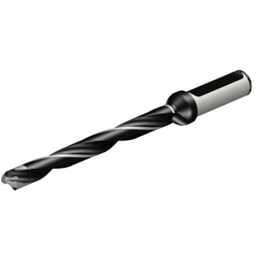 ■SANDVIK コロドリル870 ヘッド交換式ドリル(446)〔品番:870120010LX06310〕【3148357:0】[送料別途見積り][掲外取寄][店頭受取不可]