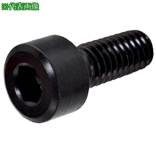 ■SANDVIK ソケットヘッドスクリュー(810)〔品番:3212031505〕【3148649:0】[送料別途見積り][法人・事業所限定][掲外取寄][店頭受取不可]
