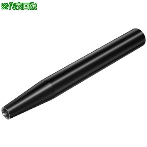■SANDVIK 円筒シャンク コロマントEHアダプタ(445)〔品番:AE16A19CS075〕【3148839:0】[送料別途見積り][掲外取寄][店頭受取不可]｜ホームセンターバロー　店