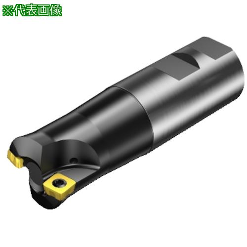 ■SANDVIK コロミル210 正面フライスカッター(450)〔品番:RA210032M3209M〕【3150468:0】[送料別途見積り][掲外取寄][店頭受取不可]