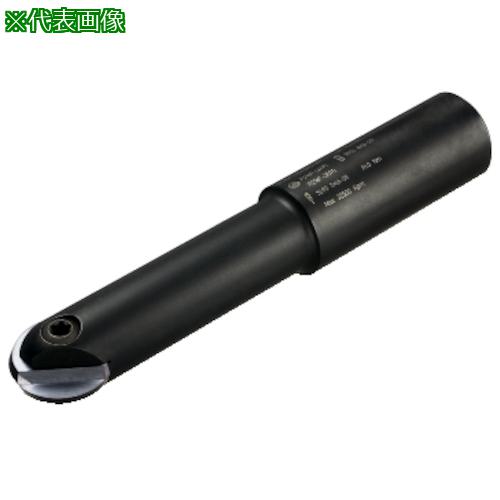 ■SANDVIK コロミル216F ボールエンドミル(440)〔品番:RA216F13O13S026〕【3151221:0】[送料別途見積り][掲外取寄][店頭受取不可] 30,602円