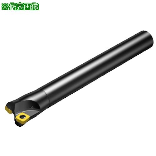 ■SANDVIK コロミル210 正面フライスカッター(450)〔品番:RA210032O2509M〕【3151810:0】[送料別途見積り][掲外取寄][店頭受取不可]