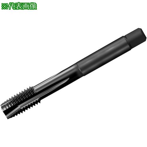 ■SANDVIK コロタップ200 ポイントタップ(781) C145〔品番:T200XM101AF34〕【3245278:0】[送料別途見積り][店頭受取不可]｜ホームセンターバロー　店