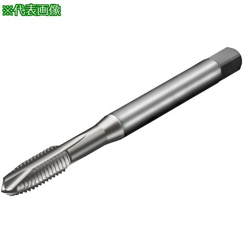 ■SANDVIK コロタップ200 ポイントタップ(781) C150〔品番:T200XM100DE38〕【3245351:0】[送料別途見積り][店頭受取不可]