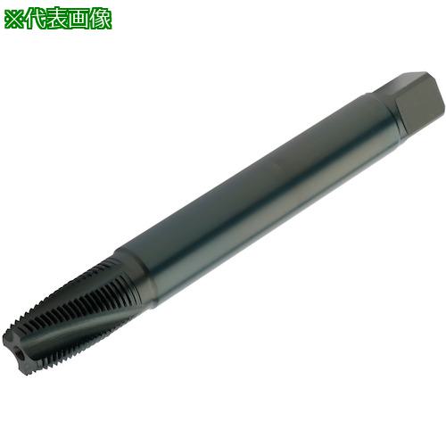 ■SANDVIK コロタップ300 スパイラルタップ(781) B145〔品番:T300XM100AM12〕【3246857:0】[送料別途見積り][店頭受取不可]