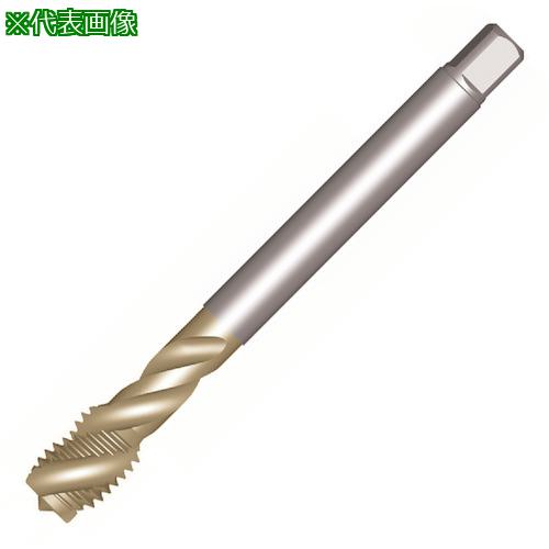 ■SANDVIK コロタップ300 スパイラルタップ(781) C110〔品番:T300XM101AF58〕【3246900:0】[送料別途見積り][店頭受取不可]