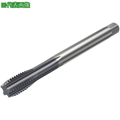 ■SANDVIK コロタップ100 ストレートタップ(780) D210〔品番:T100KM100DBM10X125〕【3246936:0】[送料別途見積り][店頭受取不可]｜ホームセンターバロー　店