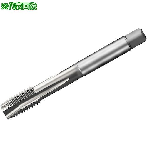 ■SANDVIK コロタップ200 ポイントタップ(781) C150〔品番:T200XM101DF58〕【3248462:0】[送料別途見積り][店頭受取不可]｜ホームセンターバロー　店