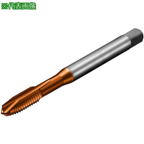 ■SANDVIK コロタップ200 ポイントタップ(781) C110〔品番:T200XM104DAM3〕【3250073:0】[送料別途見積り][店頭受取不可]