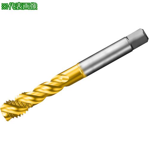 ■SANDVIK コロタップ300 スパイラルタップ(781) C110〔品番:T300XM101DE58〕【3250081:0】[送料別途見積り][店頭受取不可]｜ホームセンターバロー　店