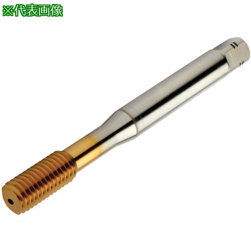 ■SANDVIK コロタップ400 転造タップ(780) F125〔品番:T400PM104DAM16〕【3251633:0】[送料別途見積り][店頭受取不可]｜ホームセンターバロー　店