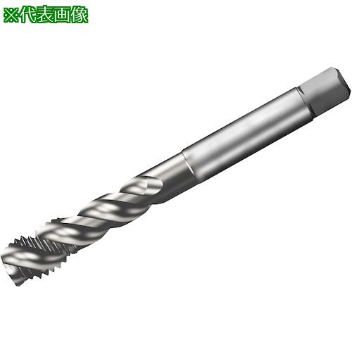 ■SANDVIK コロタップ300 スパイラルタップ(781) C150〔品番:T300XM103AAM20〕【3253175:0】[送料別途見積り][店頭受取不可]｜ホームセンターバロー　店