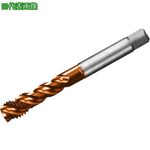 ■SANDVIK コロタップ300 スパイラルタップ(781) C110〔品番:T300XM101DAM14〕【3268026:0】[送料別途見積り][店頭受取不可]｜ホームセンターバロー　店