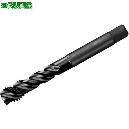 ■SANDVIK コロタップ300 スパイラルタップ(781) B145〔品番:T300XM101DAM42〕【3268027:0】[送料別途見積り][店頭受取不可]｜ホームセンターバロー　店