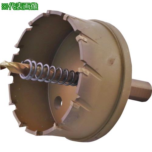 ■エビ 超硬ホルソー(チタンコーティング) 75mm〔品番:HO75G〕【3315134:0】[店頭受取不可]｜ホームセンターバロー　店