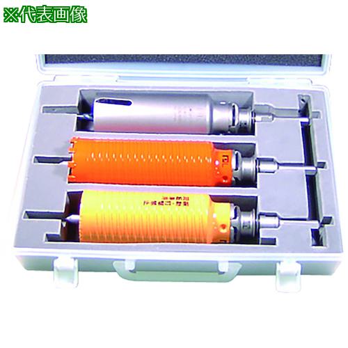■ミヤナガ コア3兄弟BOXキットPD1-80R SDS〔品番:PD180R〕【3352811:0】[送料別途見積り][掲外取寄][店頭受取不可]｜ホームセンターバロー　店