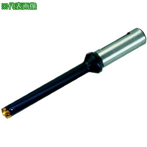 ■イスカル カムドリル ヘッド交換式ドリルホルダ DCM-8D〔品番:DCM25020025A8D〕【3384870:0】[送料別途見積り][法人・事業所限定][掲外取寄][店頭受取不可]