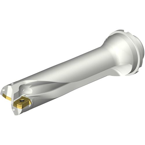 ■SANDVIK コロドリルDS20刃先交換式ドリル(465)〔品番:DS20D4128DM4004〕【3389253:0】[送料別途見積り][法人・事業所限定][店頭受取不可]｜ホームセンターバロー　店