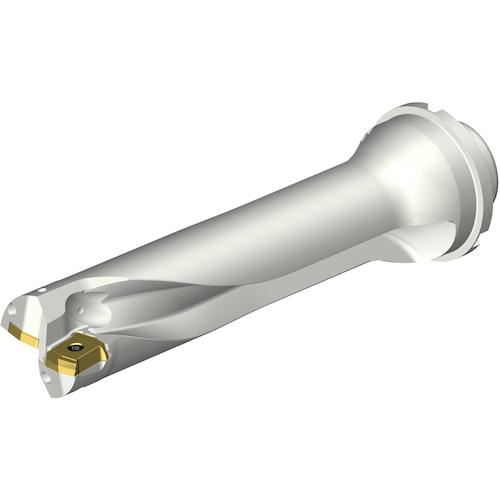 ■SANDVIK コロドリルDS20刃先交換式ドリル(465)〔品番:DS20D4100DM4004〕【3394108:0】[送料別途見積り][店頭受取不可]｜ホームセンターバロー　店