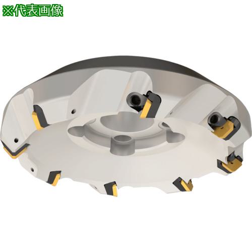 ■イスカル イスカルミル フェースミル F45E〔品番:F45ED12540〕【3397023:0】[送料別途見積り][掲外取寄][店頭受取不可]｜ホームセンターバロー　店