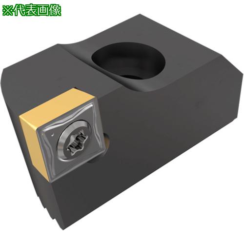 超ワイドモンキレンチ×北斗の拳|最強二人三脚がここに具体化！