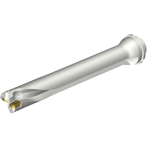 ■SANDVIK コロドリルDS20刃先交換式ドリル(465)〔品番:DS20D4300DM4007〕【3400502:0】[送料別途見積り][法人・事業所限定][店頭受取不可]｜ホームセンターバロー　店