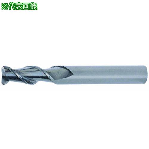 ■ダイジェット アルミ加工用ソリッドラジアスエンドミル(2枚刃・レギュラー刃長) 6.0mm R0.5〔品番:ALSEES2060R05〕【3403041:0】[店頭受取不可]