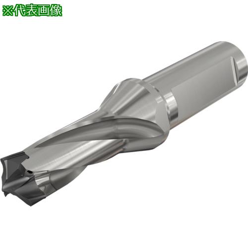 ■イスカル ロジック3カム ヘッド交換式ドリルホルダー D3N A-1.5D〔品番:D3N12501916A1.5D〕【3404893:0】[店頭受取不可]