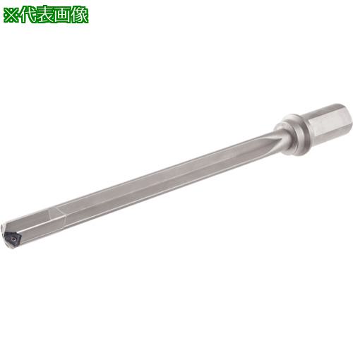 ■イスカル チップ交換式ガンドリル トライディープ GD-DH〔品番:GDDH29.0010DM4013〕【3408115:0】[送料別途見積り][掲外取寄][店頭受取不可]