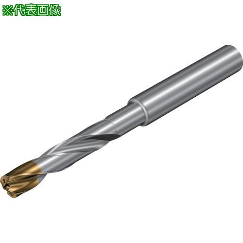 ■SANDVIK コロドリル860‐GM 超硬ソリッドドリル(720) X1BM〔品番:860.10740060A1GM〕【3506299:0】[店頭受取不可]