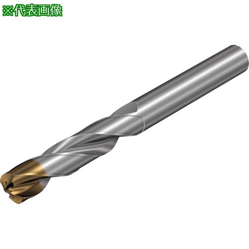 ■SANDVIK コロドリル860‐GM 超硬ソリッドドリル(720) X1BM〔品番:860.10480015A0GM〕【3507907:0】[送料別途見積り][店頭受取不可]