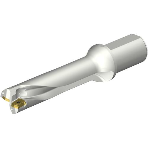 ■SANDVIK コロドリルDS20刃先交換式ドリル(465)〔品番:DS20D4200L5004〕【3512504:0】[送料別途見積り][掲外取寄][店頭受取不可]