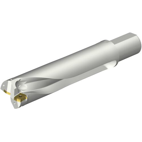■SANDVIK コロドリルDS20刃先交換式ドリル(465)〔品番:DS20D6300L5004〕【3512515:0】[送料別途見積り][掲外取寄][店頭受取不可]｜ホームセンターバロー　店