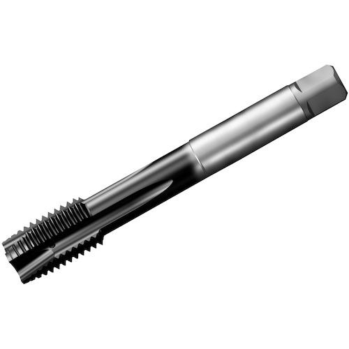 ■SANDVIK コロタップ200 ポイントタップ(780) P1PM〔品番:T200PM109DAM24〕【3512646:0】[送料別途見積り][掲外取寄][店頭受取不可]｜ホームセンターバロー　店