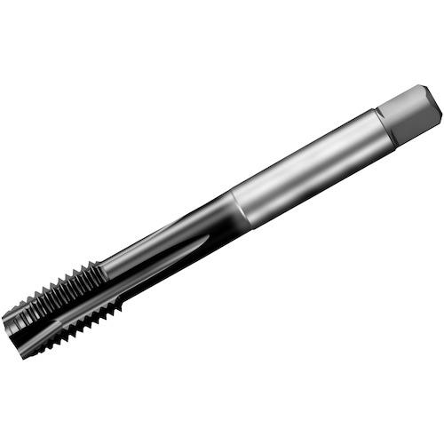 ■SANDVIK コロタップ200 ポイントタップ(780) P1PM〔品番:T200PM101AAM16〕【3515823:0】[送料別途見積り][掲外取寄][店頭受取不可]