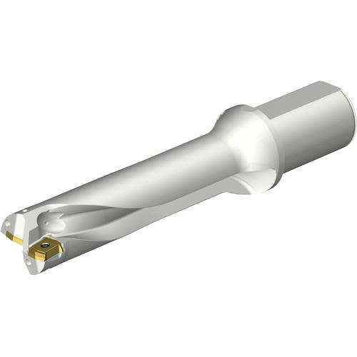 ■SANDVIK コロドリルDS20刃先交換式ドリル(465)〔品番:DS20D4400L5004〕【3517265:0】[送料別途見積り][掲外取寄][店頭受取不可]