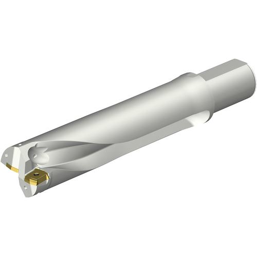 ■SANDVIK コロドリルDS20刃先交換式ドリル(465)〔品番:DS20D6100L5004〕【3518822:0】[送料別途見積り][掲外取寄][店頭受取不可]｜ホームセンターバロー　店