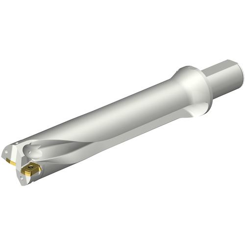 ■SANDVIK コロドリルDS20刃先交換式ドリル(465)〔品番:DS20D5080LX3805〕【3518831:0】[送料別途見積り][店頭受取不可]｜ホームセンターバロー　店