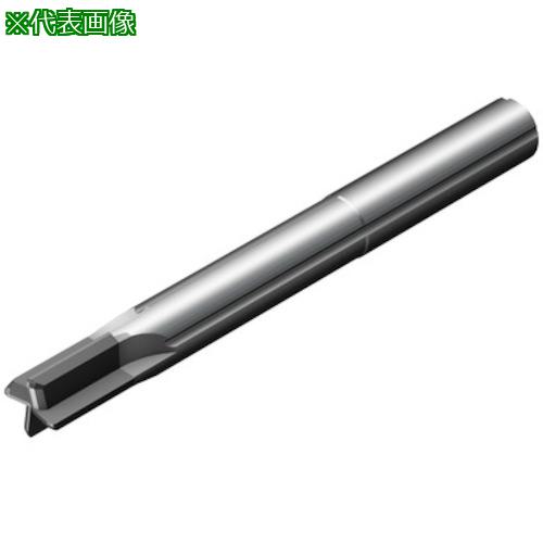 ■SANDVIK コロミルCoroMill[[R上]]Plura フランジ加工用超硬エンドミル(730) 1610〔品番:2P0900400PB〕【3518862:0】[送料別途見積り][掲外取寄][店頭受取不可]｜ホームセンターバロー　店