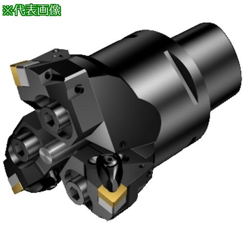 ■SANDVIK コロボアBR30(530)〔品番:BR30152CN12FC8〕【3528397:0】[送料別途見積り][法人・事業所限定][掲外取寄][店頭受取不可]｜ホームセンターバロー　店