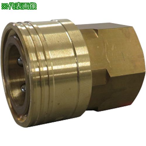 ■FLOBAL 両路開放型クイックカップリング TS-6SF(BSBM)〔品番:TS6SFBSBM〕【3530014:0】[店頭受取不可]